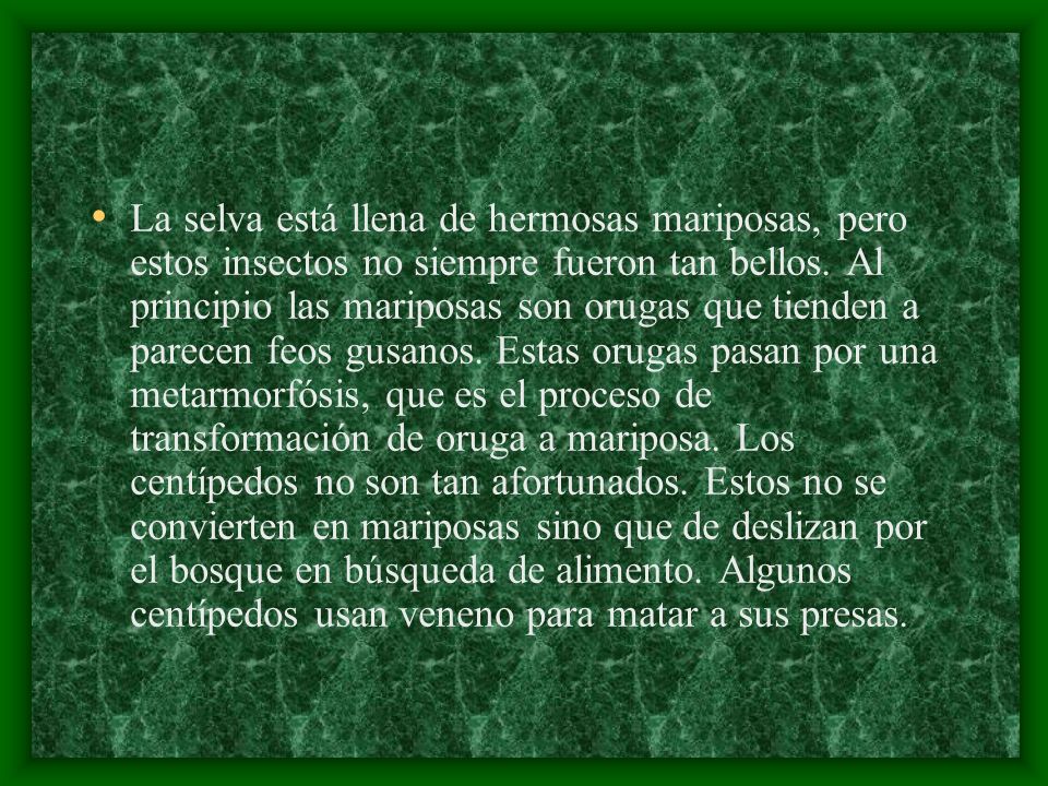 La selva está llena de hermosas mariposas, pero estos insectos no siempre fueron tan bellos.