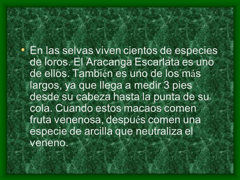 En las selvas viven cientos de especies de loros