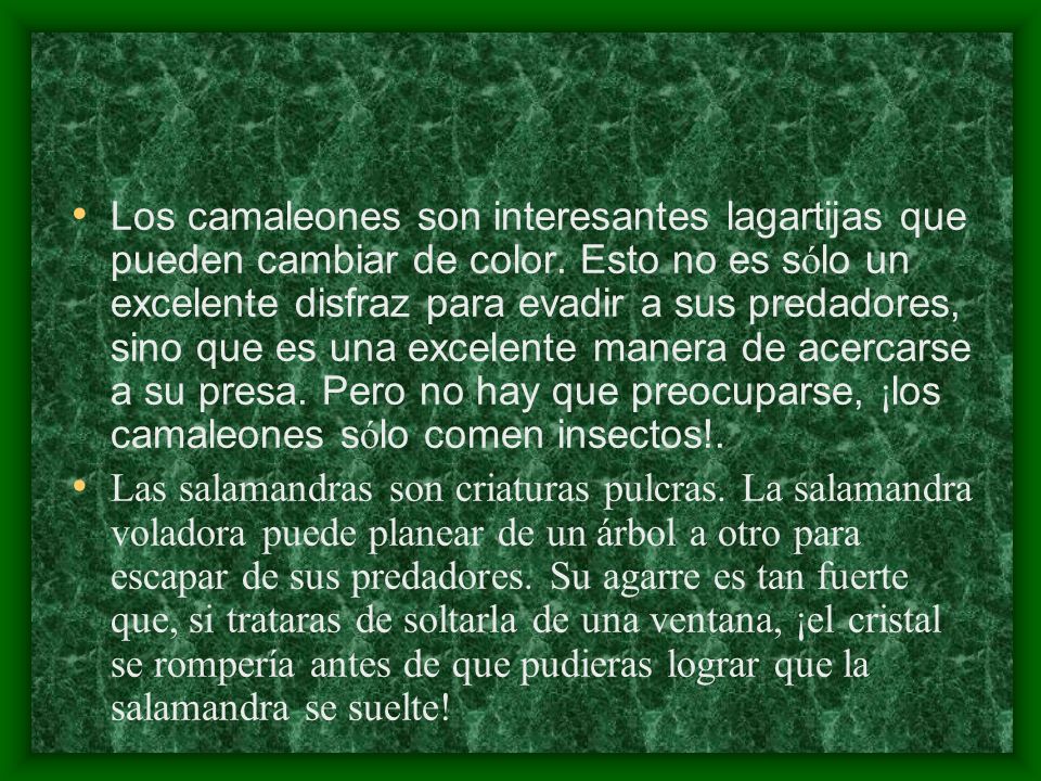 Los camaleones son interesantes lagartijas que pueden cambiar de color