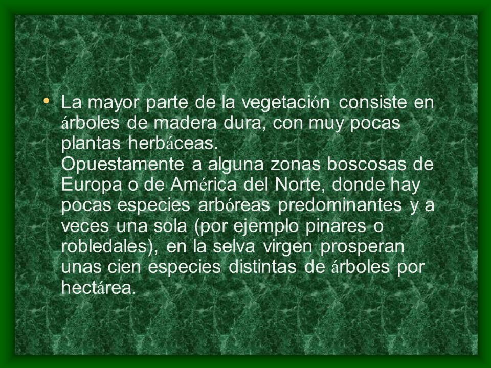 La mayor parte de la vegetación consiste en árboles de madera dura, con muy pocas plantas herbáceas.