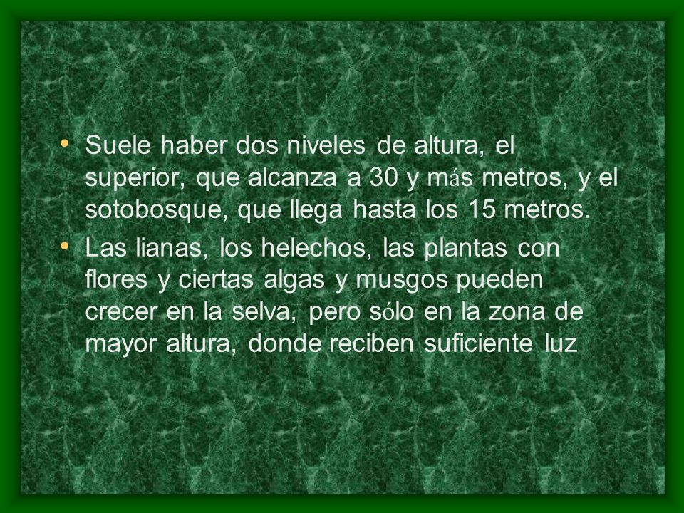 Suele haber dos niveles de altura, el superior, que alcanza a 30 y más metros, y el sotobosque, que llega hasta los 15 metros.