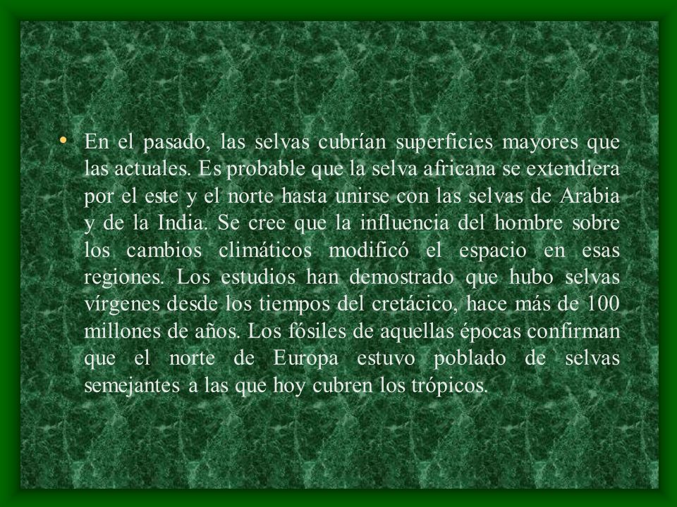 En el pasado, las selvas cubrían superficies mayores que las actuales