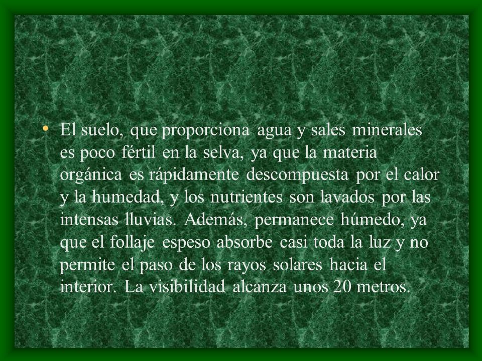 El suelo, que proporciona agua y sales minerales es poco fértil en la selva, ya que la materia orgánica es rápidamente descompuesta por el calor y la humedad, y los nutrientes son lavados por las intensas lluvias.