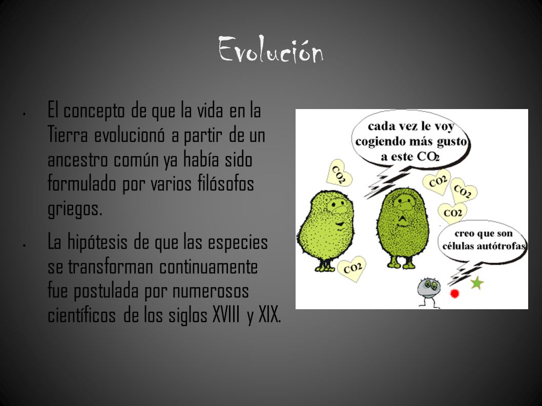 Evolución El concepto de que la vida en la Tierra evolucionó a partir de un ancestro común ya había sido formulado por varios filósofos griegos.
