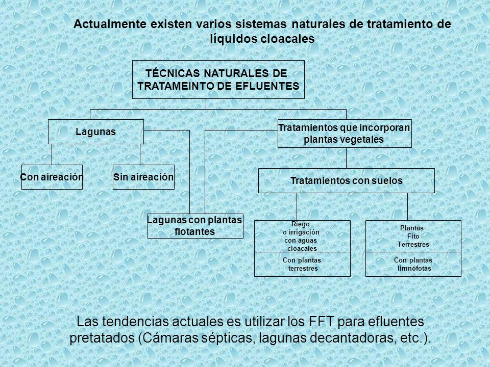 Actualmente existen varios sistemas naturales de tratamiento de líquidos cloacales