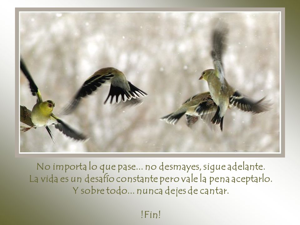 No importa lo que pase... no desmayes, sigue adelante.