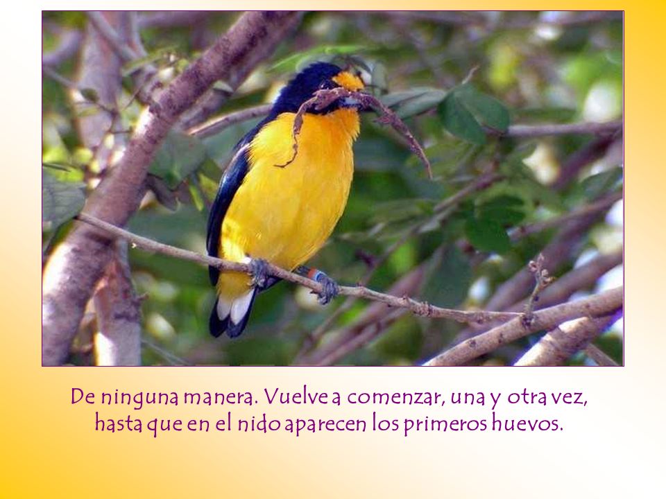 De ninguna manera. Vuelve a comenzar, una y otra vez,