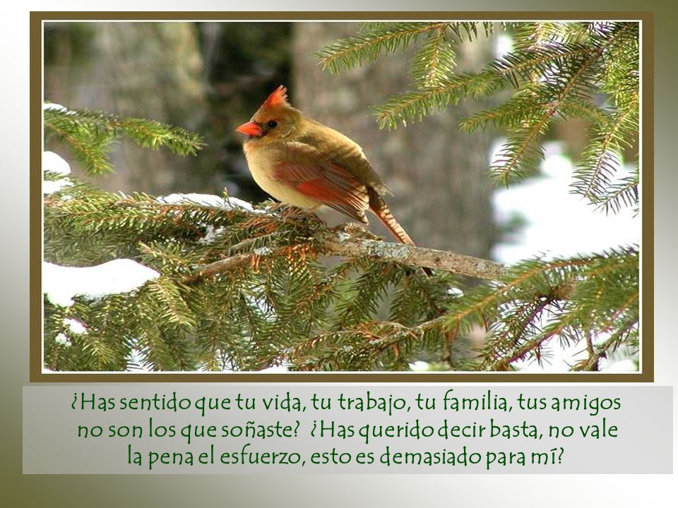 ¿Has sentido que tu vida, tu trabajo, tu familia, tus amigos