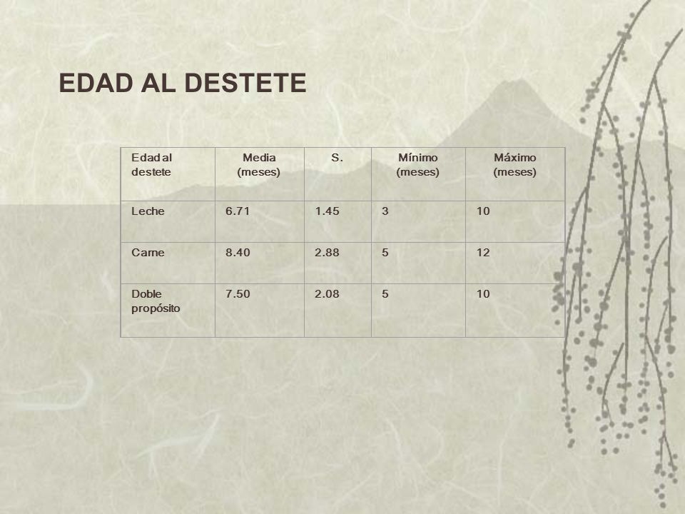 EDAD AL DESTETE Edad al destete Media (meses) S. Mínimo (meses)