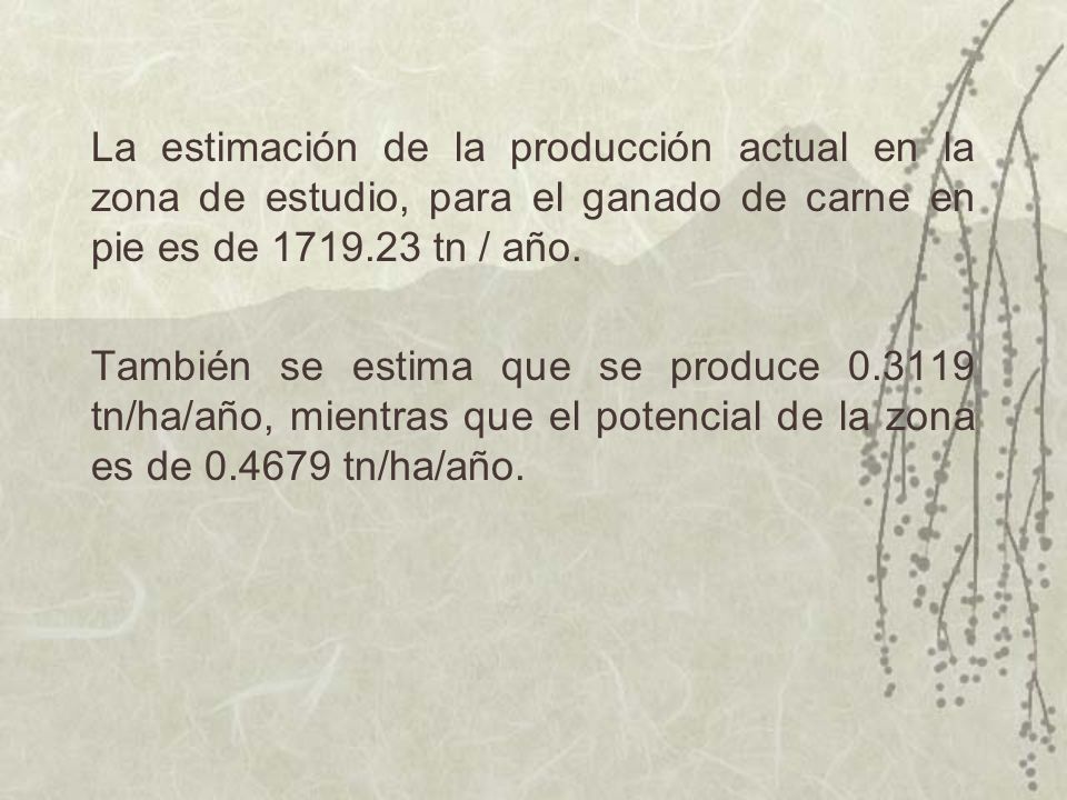 La estimación de la producción actual en la zona de estudio, para el ganado de carne en pie es de tn / año.