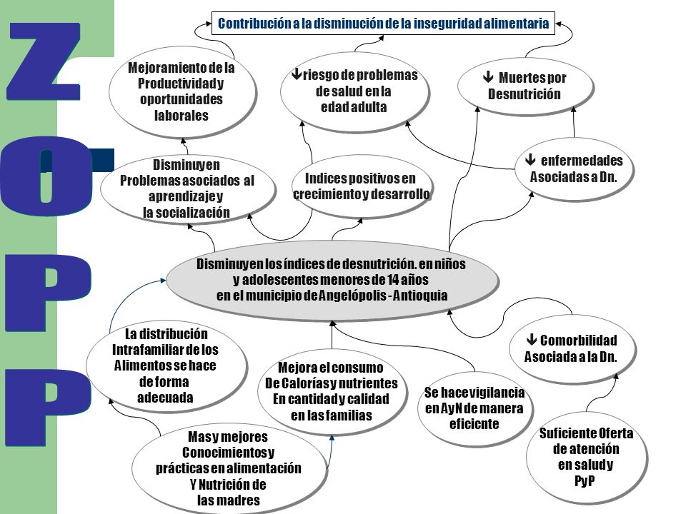 Z O P Contribución a la disminución de la inseguridad alimentaria