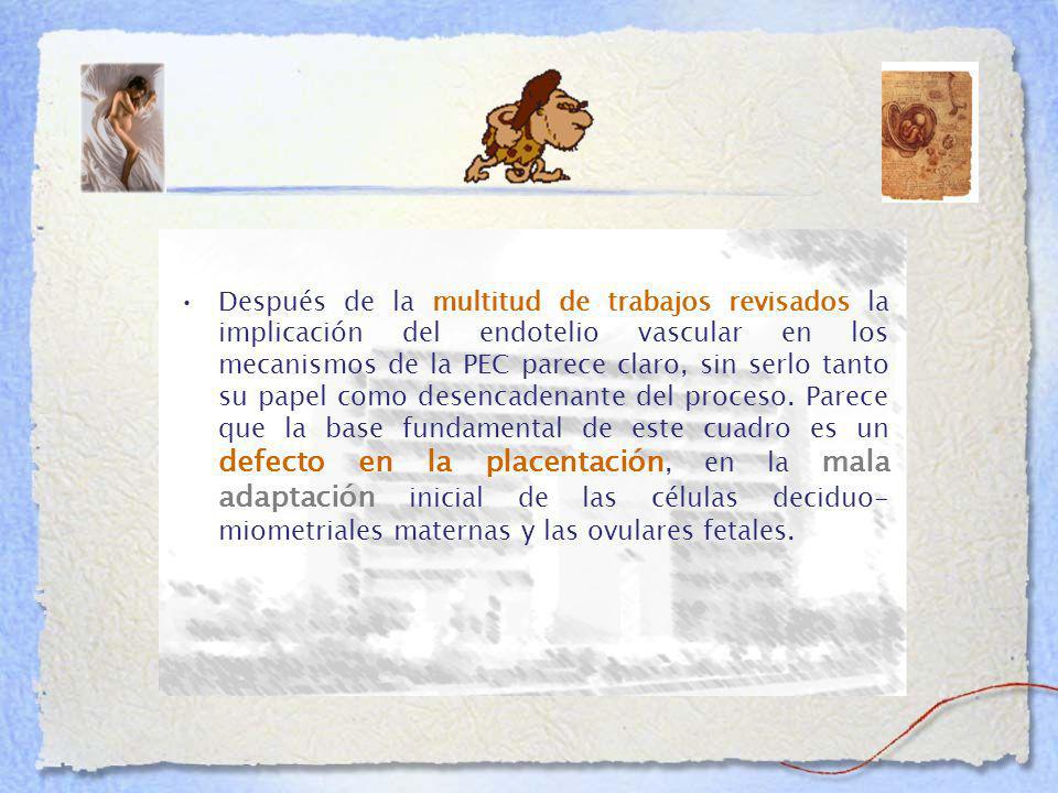 Después de la multitud de trabajos revisados la implicación del endotelio vascular en los mecanismos de la PEC parece claro, sin serlo tanto su papel como desencadenante del proceso.