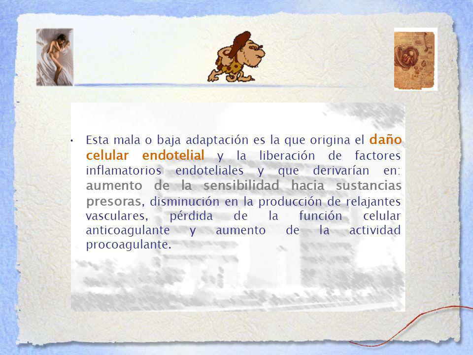 Esta mala o baja adaptación es la que origina el daño celular endotelial y la liberación de factores inflamatorios endoteliales y que derivarían en: aumento de la sensibilidad hacia sustancias presoras, disminución en la producción de relajantes vasculares, pérdida de la función celular anticoagulante y aumento de la actividad procoagulante.