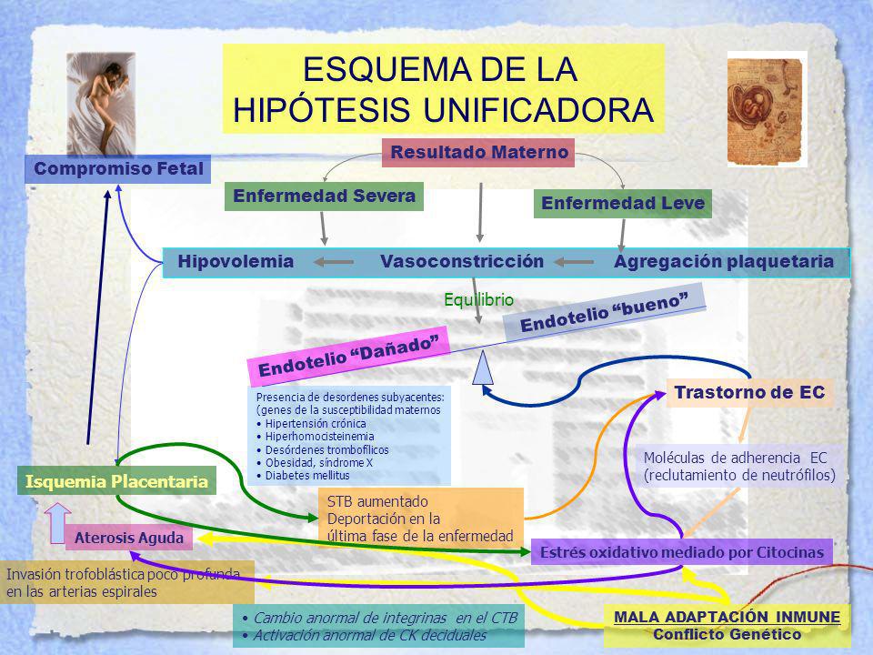 MALA ADAPTACIÓN INMUNE