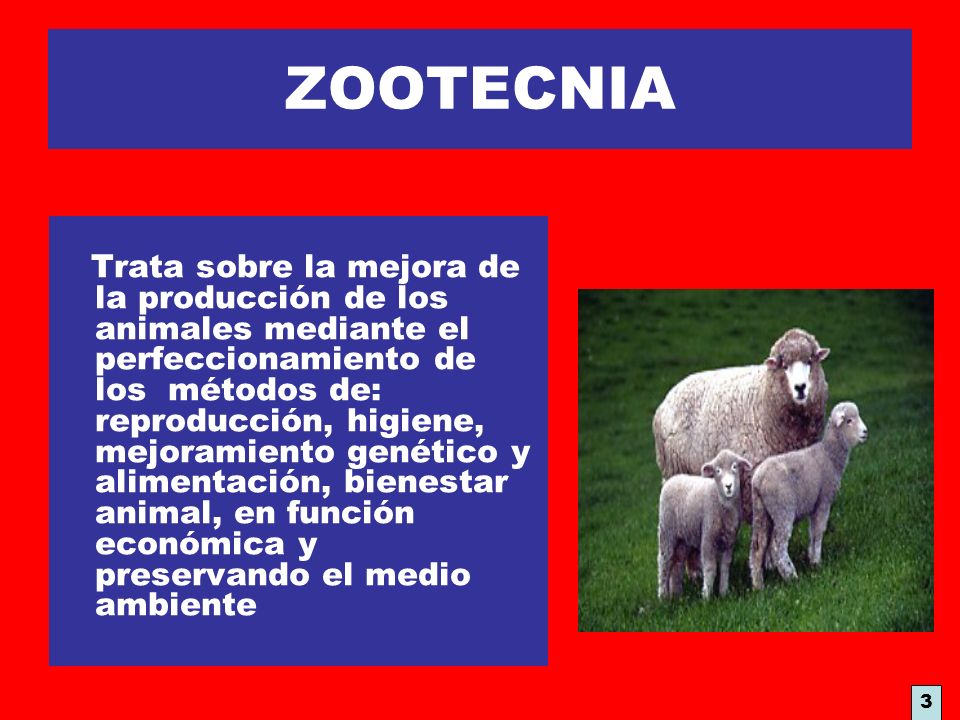 ZOOTECNIA