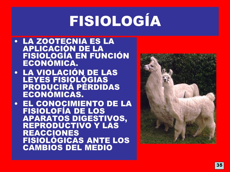 FISIOLOGÍA LA ZOOTECNIA ES LA APLICACIÓN DE LA FISIOLOGÍA EN FUNCIÓN ECONÓMICA. LA VIOLACIÓN DE LAS LEYES FISIOLÓGIAS PRODUCIRÁ PÉRDIDAS ECONÓMICAS.