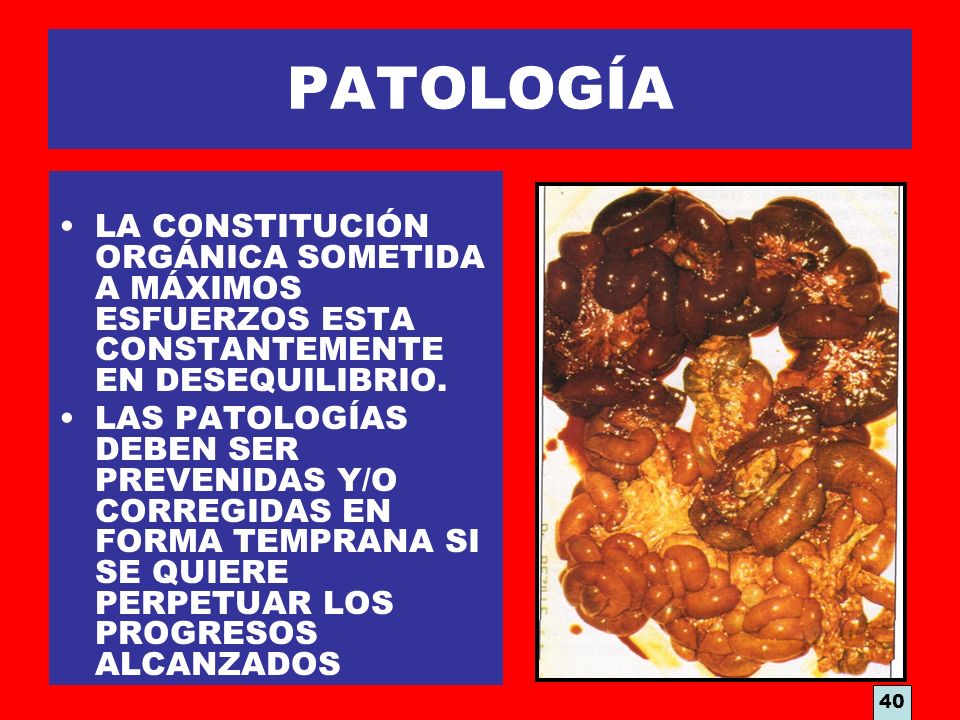 PATOLOGÍA LA CONSTITUCIÓN ORGÁNICA SOMETIDA A MÁXIMOS ESFUERZOS ESTA CONSTANTEMENTE EN DESEQUILIBRIO.
