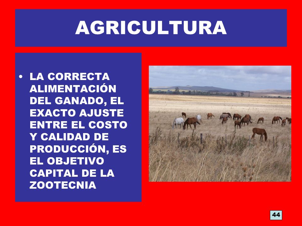 AGRICULTURA LA CORRECTA ALIMENTACIÓN DEL GANADO, EL EXACTO AJUSTE ENTRE EL COSTO Y CALIDAD DE PRODUCCIÓN, ES EL OBJETIVO CAPITAL DE LA ZOOTECNIA.