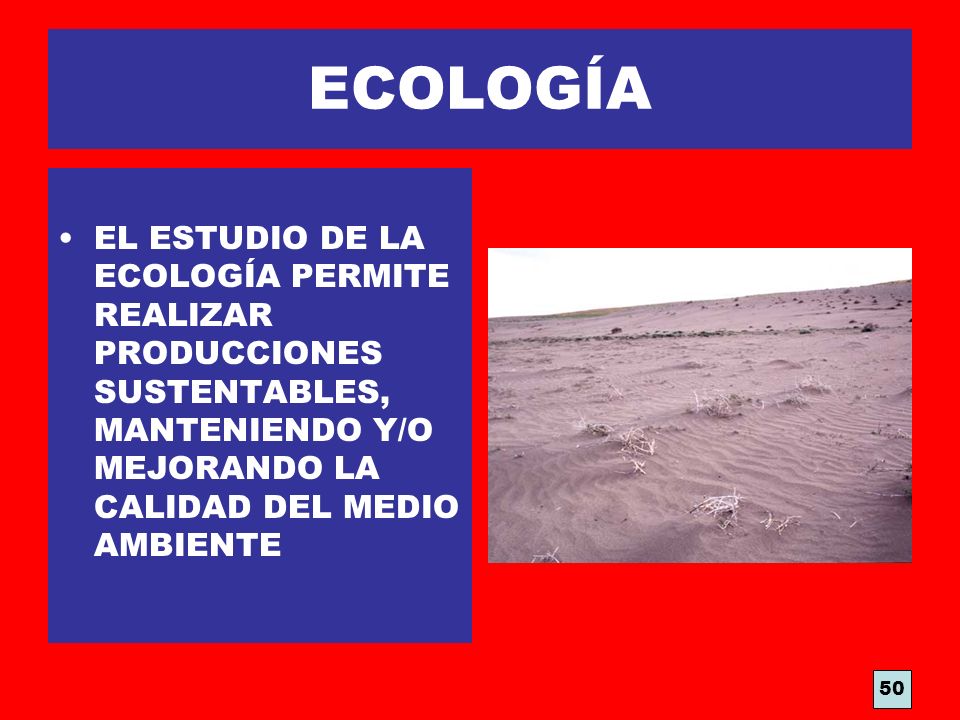 ECOLOGÍA EL ESTUDIO DE LA ECOLOGÍA PERMITE REALIZAR PRODUCCIONES SUSTENTABLES, MANTENIENDO Y/O MEJORANDO LA CALIDAD DEL MEDIO AMBIENTE.