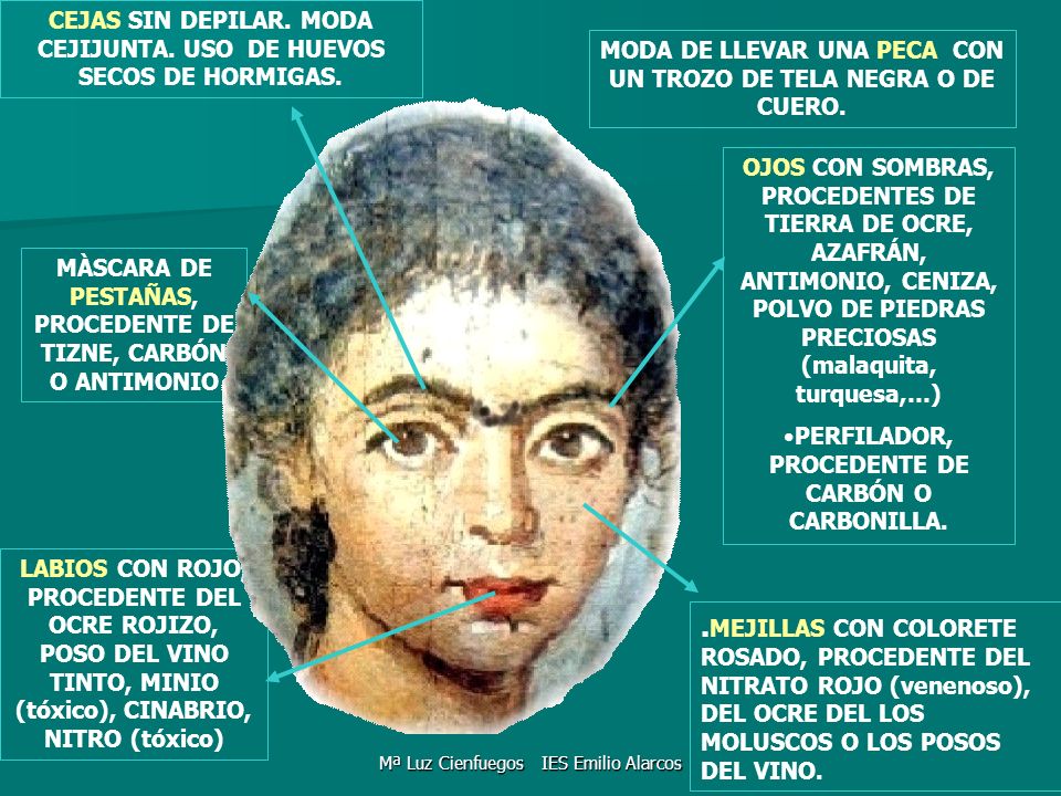 CEJAS SIN DEPILAR. MODA CEJIJUNTA. USO DE HUEVOS SECOS DE HORMIGAS.