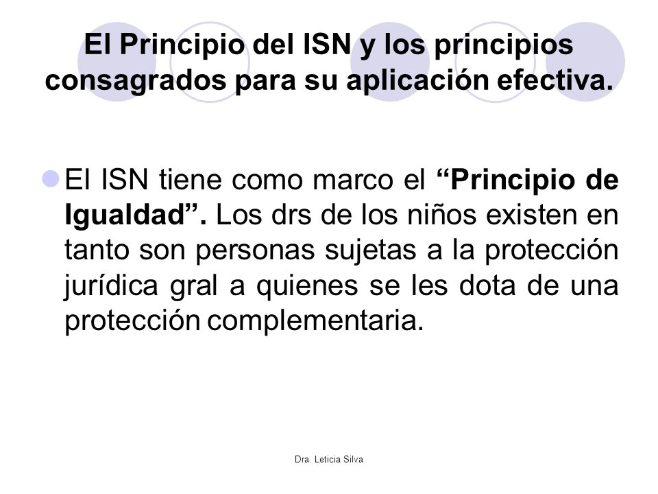 El Principio del ISN y los principios consagrados para su aplicación efectiva.