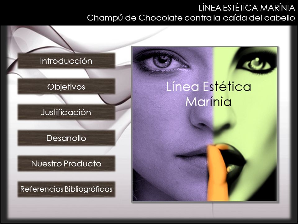 Referencias Bibliográficas