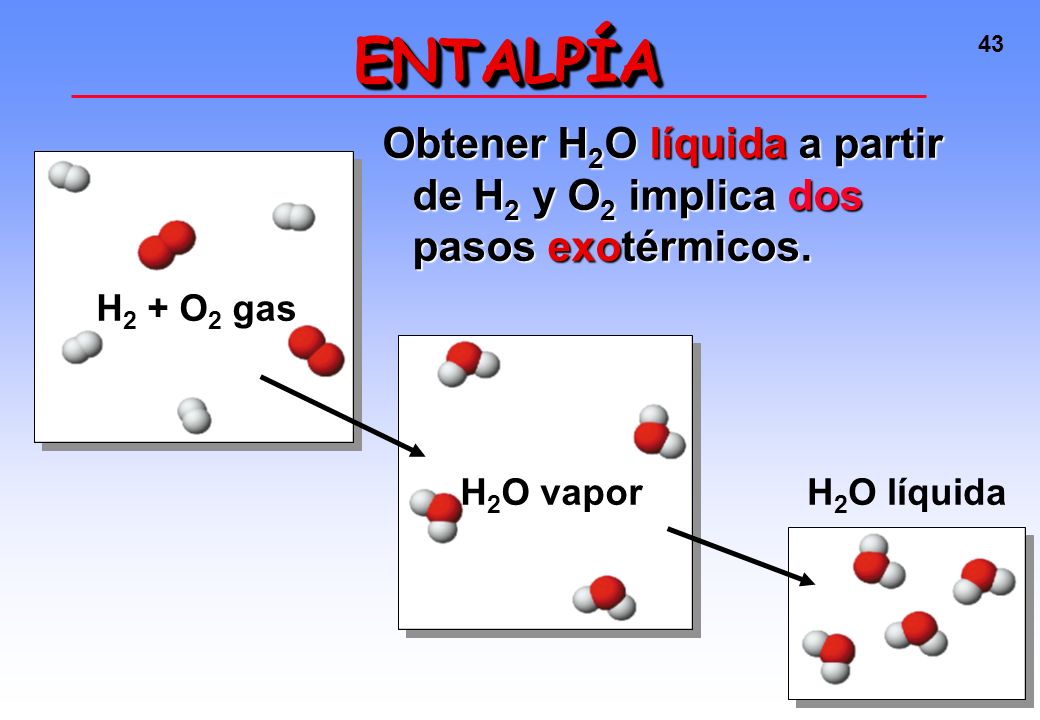 ENTALPÍA Obtener H2O líquida a partir de H2 y O2 implica dos pasos exotérmicos. H2 + O2 gas. H2O vapor.