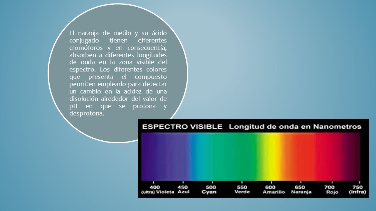 El naranja de metilo y su ácido conjugado tienen diferentes cromóforos y en consecuencia, absorben a diferentes longitudes de onda en la zona visible del espectro.