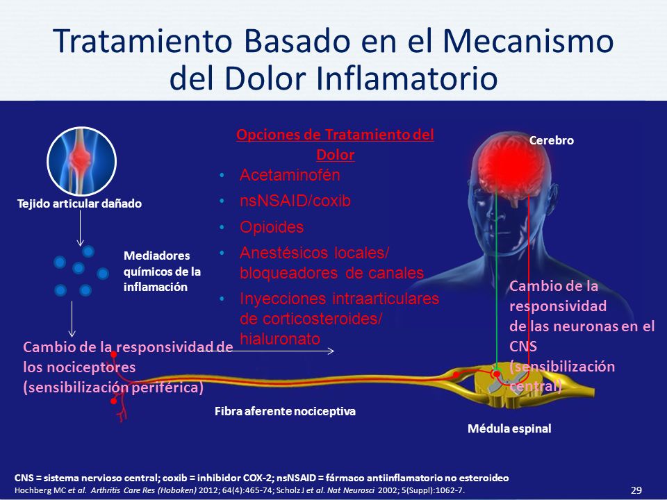 Tratamiento Basado en el Mecanismo del Dolor Inflamatorio
