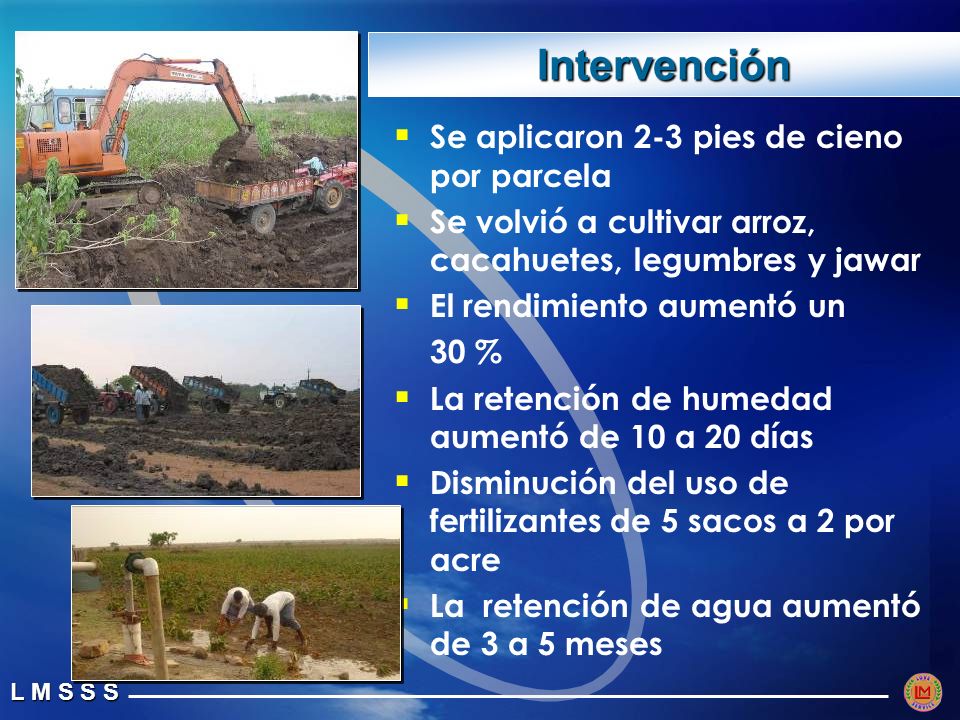 Intervención Se aplicaron 2-3 pies de cieno por parcela