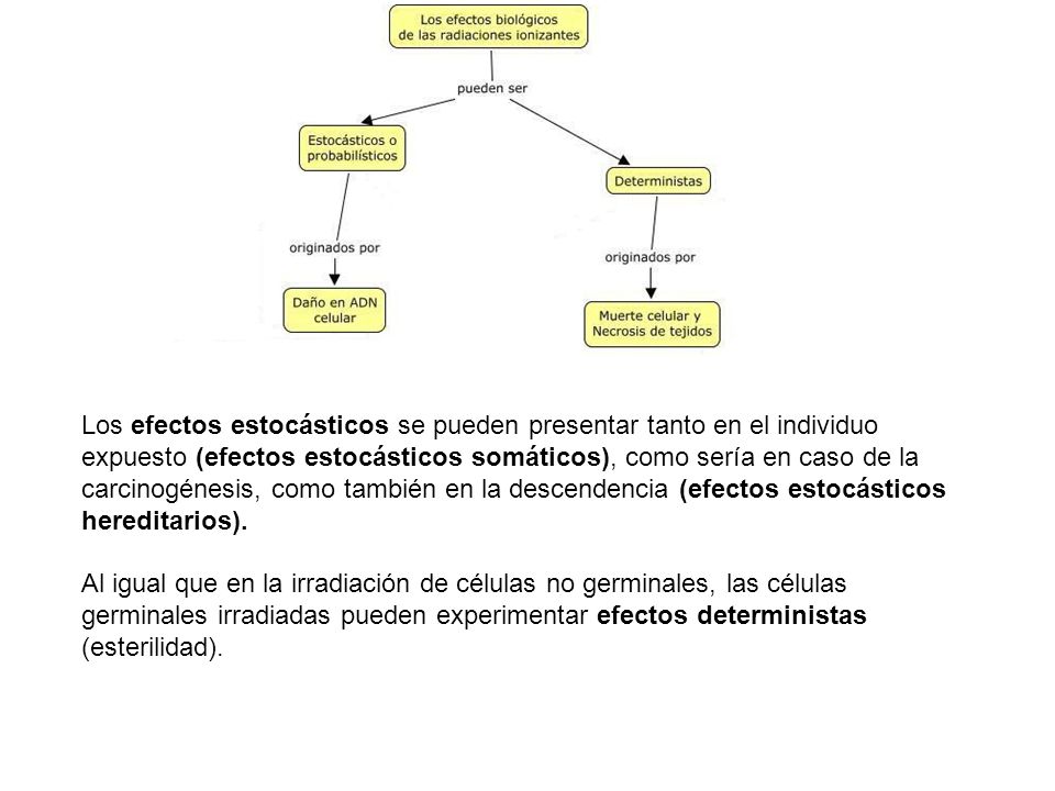Los efectos estocásticos se pueden presentar tanto en el individuo expuesto (efectos estocásticos somáticos), como sería en caso de la carcinogénesis, como también en la descendencia (efectos estocásticos hereditarios).