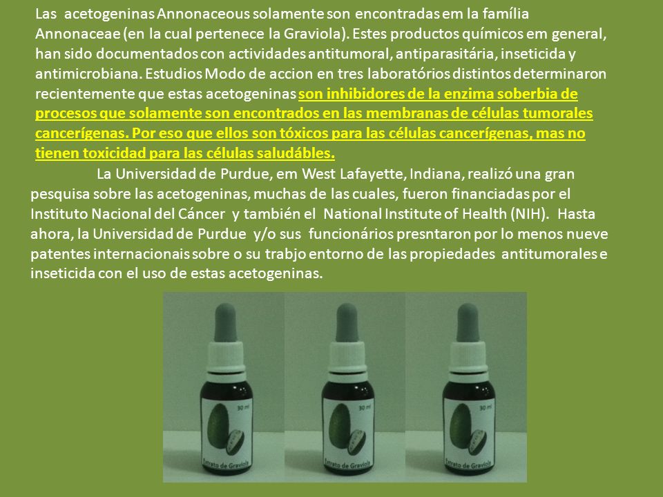 Las acetogeninas Annonaceous solamente son encontradas em la família Annonaceae (en la cual pertenece la Graviola). Estes productos químicos em general, han sido documentados con actividades antitumoral, antiparasitária, inseticida y antimicrobiana. Estudios Modo de accion en tres laboratórios distintos determinaron recientemente que estas acetogeninas son inhibidores de la enzima soberbia de procesos que solamente son encontrados en las membranas de células tumorales cancerígenas. Por eso que ellos son tóxicos para las células cancerígenas, mas no tienen toxicidad para las células saludábles.