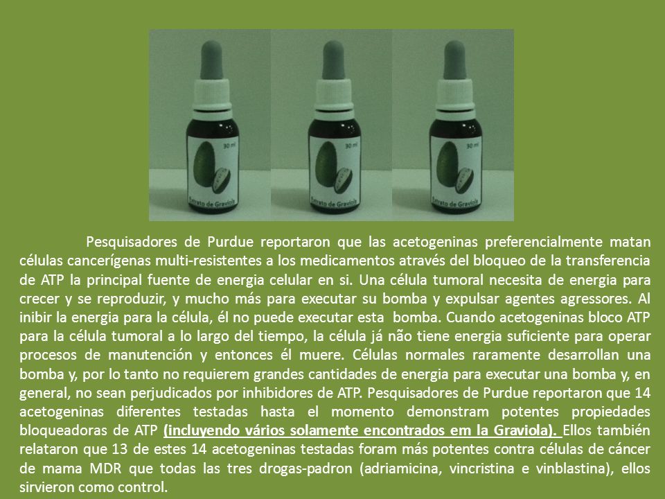 Pesquisadores de Purdue reportaron que las acetogeninas preferencialmente matan células cancerígenas multi-resistentes a los medicamentos através del bloqueo de la transferencia de ATP la principal fuente de energia celular en si. Una célula tumoral necesita de energia para crecer y se reproduzir, y mucho más para executar su bomba y expulsar agentes agressores. Al inibir la energia para la célula, él no puede executar esta bomba. Cuando acetogeninas bloco ATP para la célula tumoral a lo largo del tiempo, la célula já não tiene energia suficiente para operar procesos de manutención y entonces él muere. Células normales raramente desarrollan una bomba y, por lo tanto no requierem grandes cantidades de energia para executar una bomba y, en general, no sean perjudicados por inhibidores de ATP. Pesquisadores de Purdue reportaron que 14 acetogeninas diferentes testadas hasta el momento demonstram potentes propiedades bloqueadoras de ATP (incluyendo vários solamente encontrados em la Graviola).