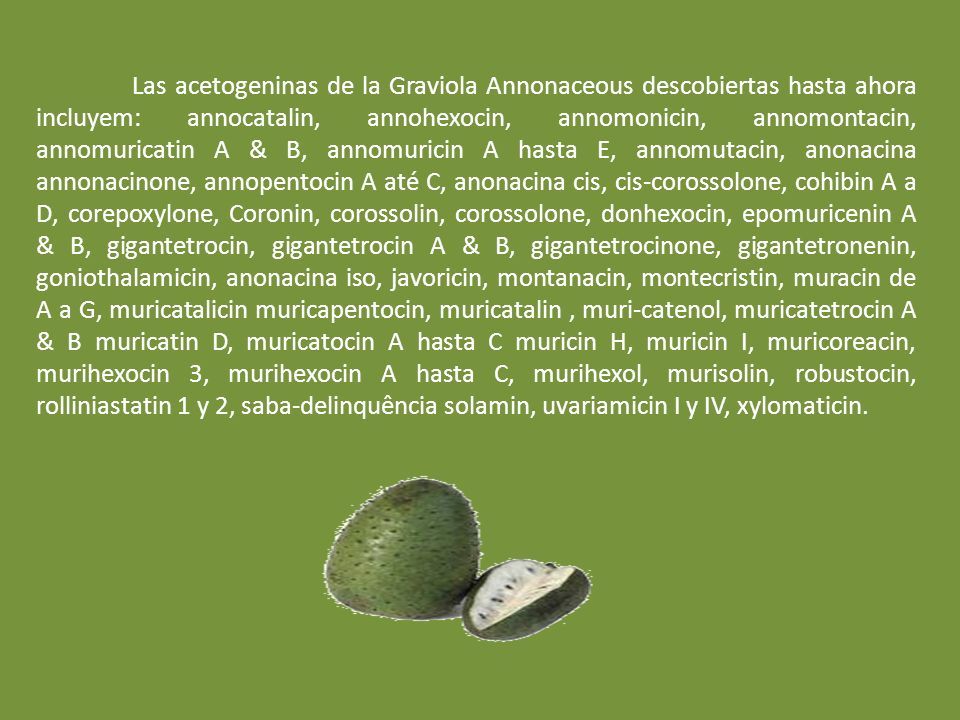 Las acetogeninas de la Graviola Annonaceous descobiertas hasta ahora incluyem: annocatalin, annohexocin, annomonicin, annomontacin, annomuricatin A & B, annomuricin A hasta E, annomutacin, anonacina annonacinone, annopentocin A até C, anonacina cis, cis-corossolone, cohibin A a D, corepoxylone, Coronin, corossolin, corossolone, donhexocin, epomuricenin A & B, gigantetrocin, gigantetrocin A & B, gigantetrocinone, gigantetronenin, goniothalamicin, anonacina iso, javoricin, montanacin, montecristin, muracin de A a G, muricatalicin muricapentocin, muricatalin , muri-catenol, muricatetrocin A & B muricatin D, muricatocin A hasta C muricin H, muricin I, muricoreacin, murihexocin 3, murihexocin A hasta C, murihexol, murisolin, robustocin, rolliniastatin 1 y 2, saba-delinquência solamin, uvariamicin I y IV, xylomaticin.