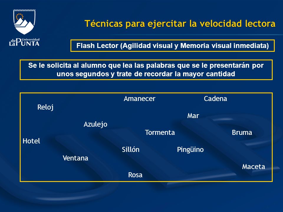 Flash Lector (Agilidad visual y Memoria visual inmediata)