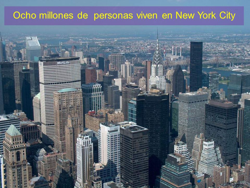 Ocho millones de personas viven en New York City