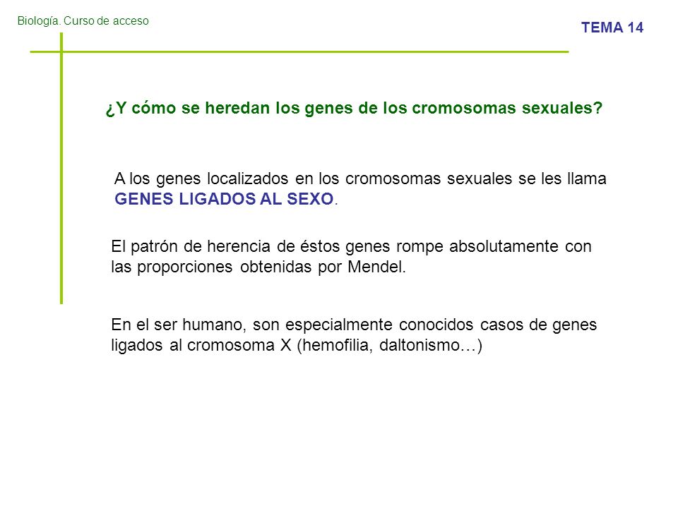 ¿Y cómo se heredan los genes de los cromosomas sexuales