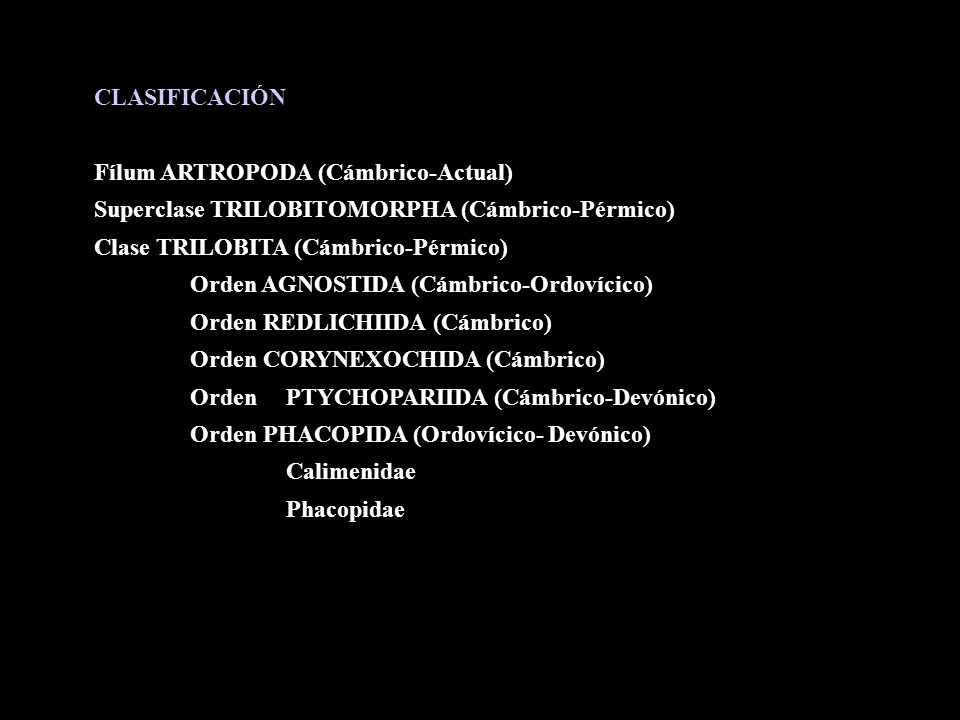 CLASIFICACIÓN Fílum ARTROPODA (Cámbrico-Actual) Superclase TRILOBITOMORPHA (Cámbrico-Pérmico) Clase TRILOBITA (Cámbrico-Pérmico)