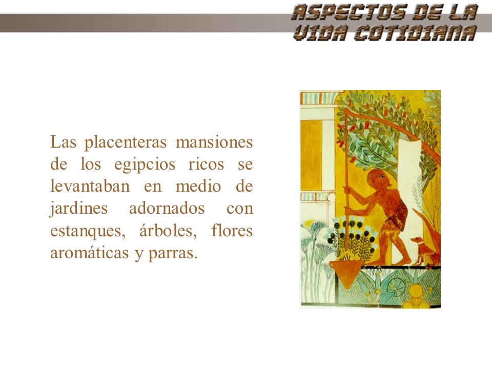 Las placenteras mansiones de los egipcios ricos se levantaban en medio de jardines adornados con estanques, árboles, flores aromáticas y parras.