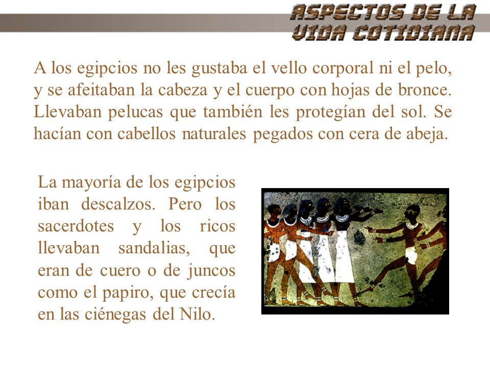 A los egipcios no les gustaba el vello corporal ni el pelo, y se afeitaban la cabeza y el cuerpo con hojas de bronce. Llevaban pelucas que también les protegían del sol. Se hacían con cabellos naturales pegados con cera de abeja.