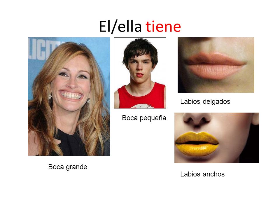 El/ella tiene Labios delgados Boca pequeña Boca grande Labios anchos