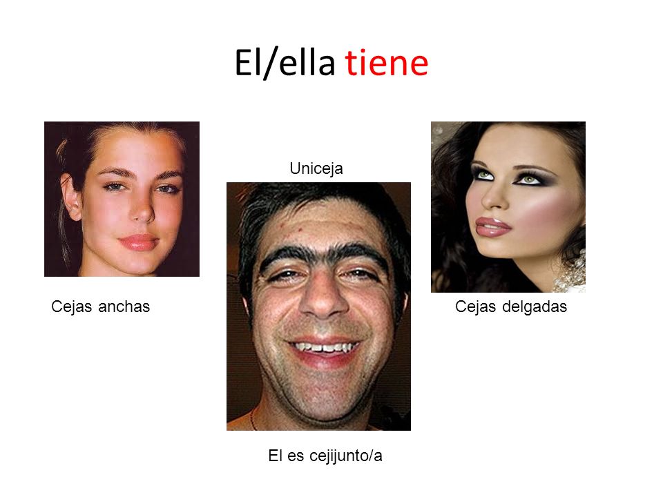 El/ella tiene Uniceja Cejas anchas Cejas delgadas El es cejijunto/a