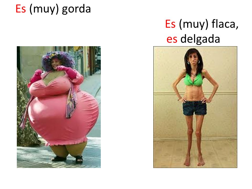 Es (muy) gorda Es (muy) flaca, es delgada