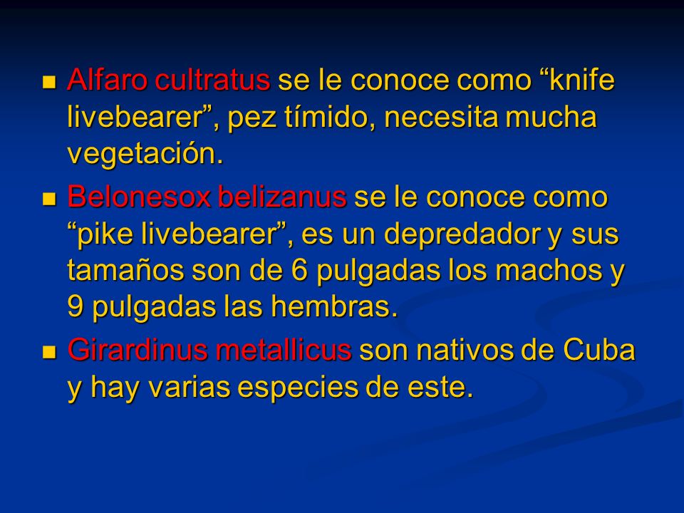 Alfaro cultratus se le conoce como knife livebearer , pez tímido, necesita mucha vegetación.