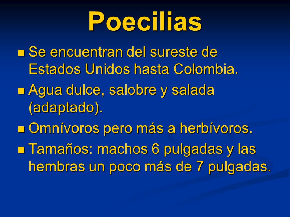 Poecilias Se encuentran del sureste de Estados Unidos hasta Colombia.