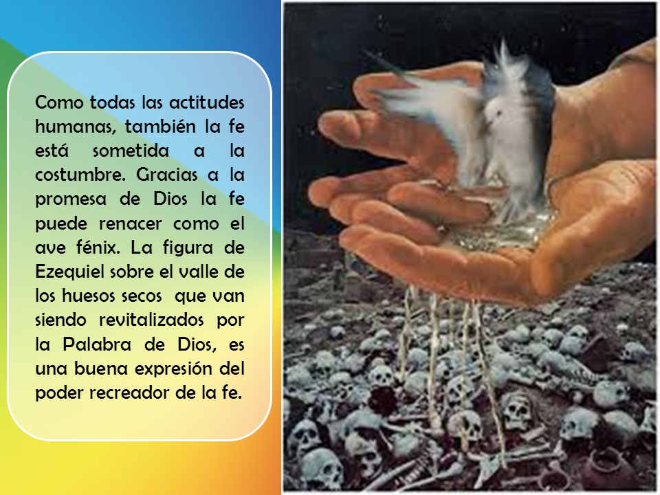 Como todas las actitudes humanas, también la fe está sometida a la costumbre.