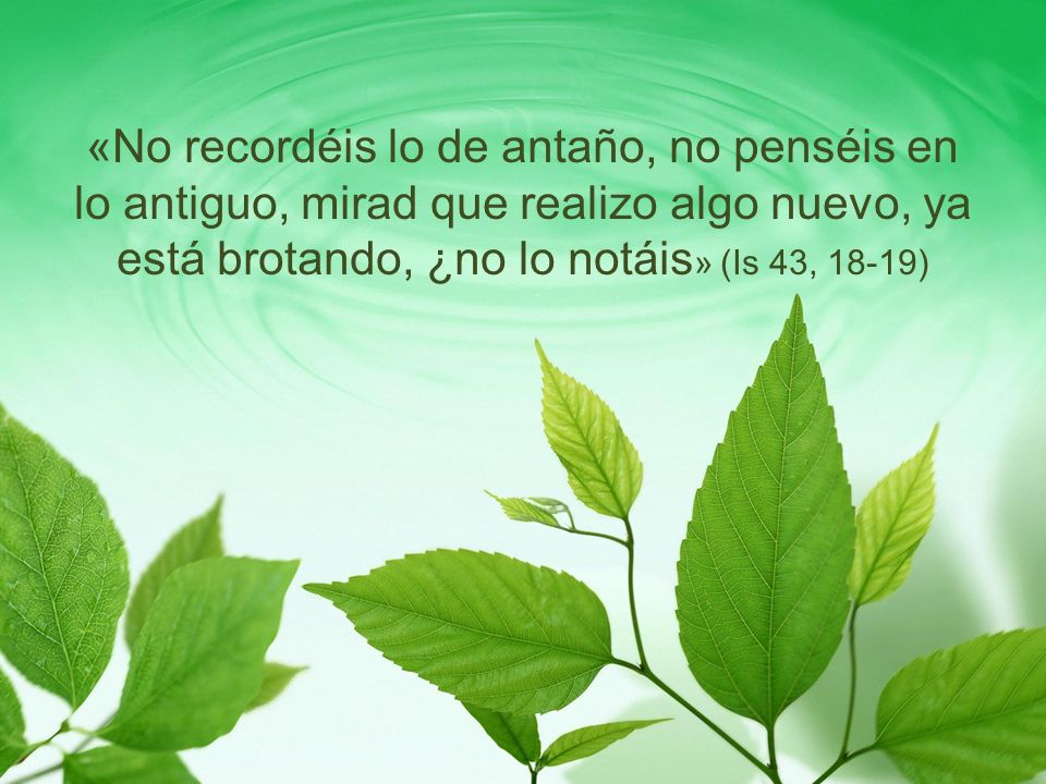 «No recordéis lo de antaño, no penséis en lo antiguo, mirad que realizo algo nuevo, ya está brotando, ¿no lo notáis» (Is 43, 18-19)