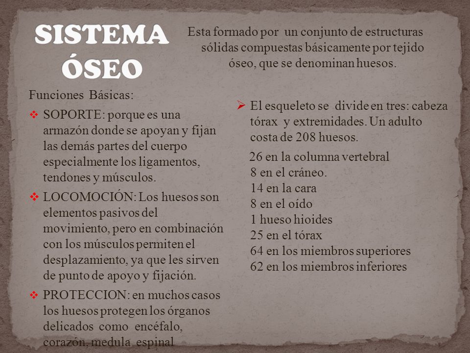 SISTEMA ÓSEO Esta formado por un conjunto de estructuras sólidas compuestas básicamente por tejido óseo, que se denominan huesos.