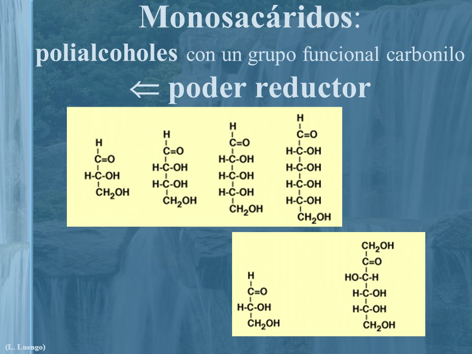 Monosacáridos: polialcoholes con un grupo funcional carbonilo  poder reductor