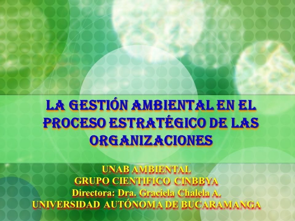 LA GESTIÓN AMBIENTAL EN EL PROCESO ESTRATÉGICO DE LAS ORGANIZACIONES